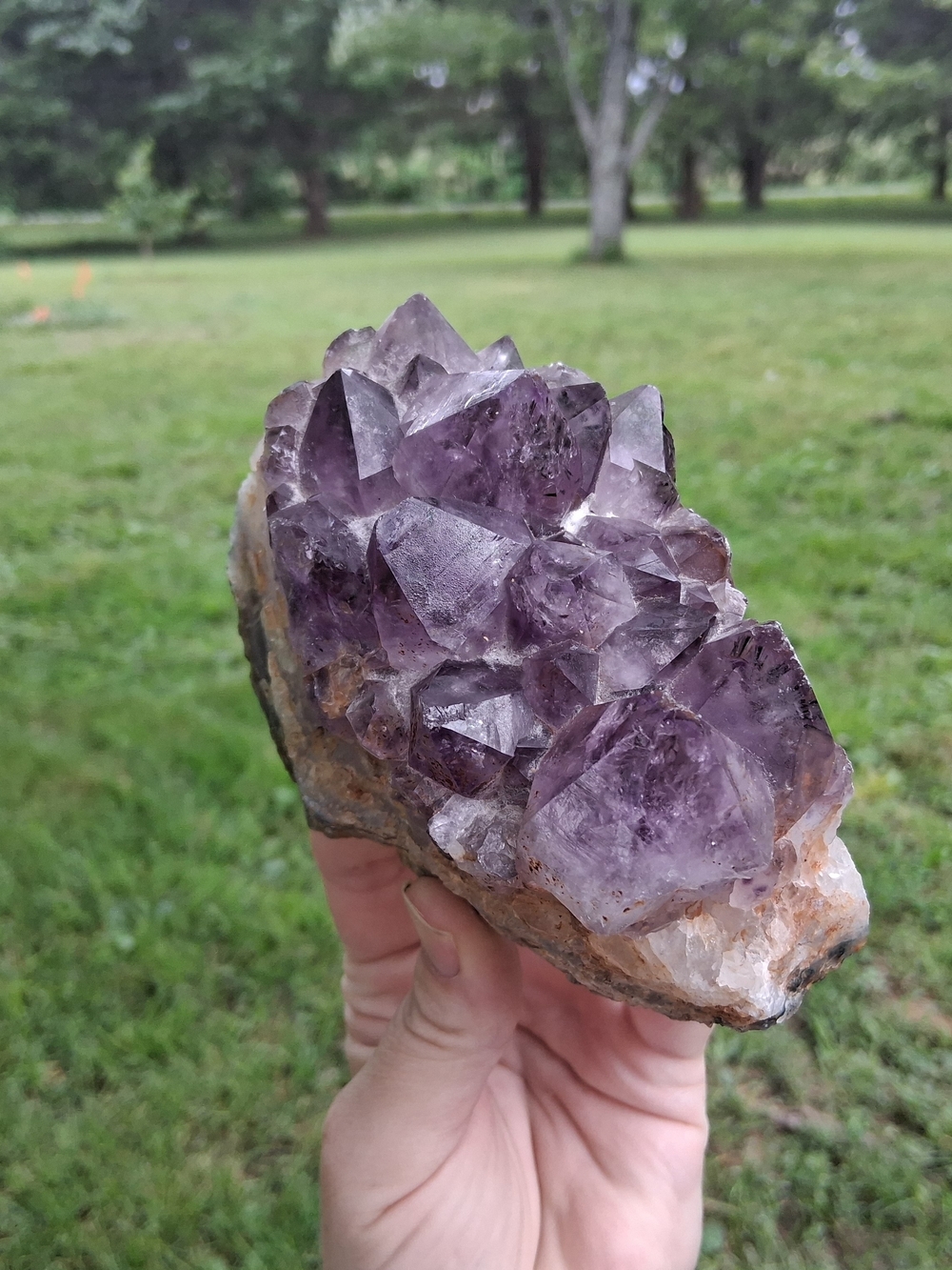 Amethyst Geode Cluster Points Quartz Banding Display Purple Specimen